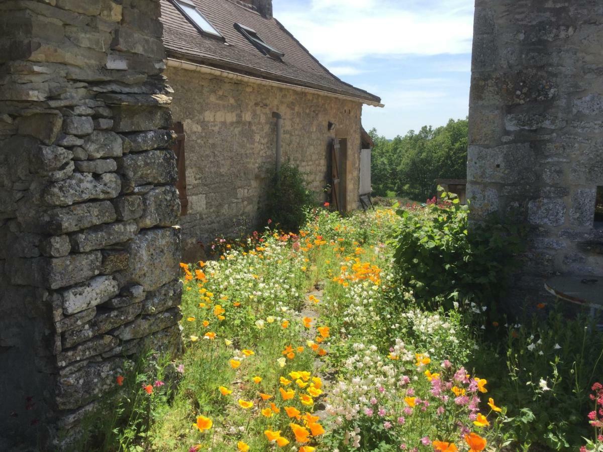 Les Gîtes Pérard Caylus Exterior foto